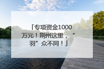 专项资金1000万元！荆州这里，“羽”众不同！