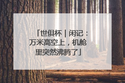 世俱杯｜闲记：万米高空上，机舱里突然沸腾了