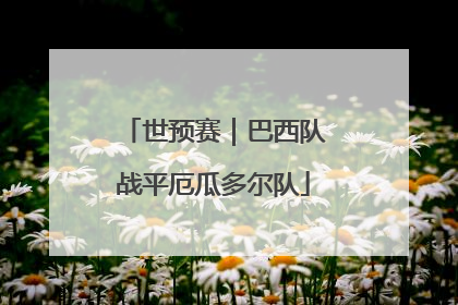 世预赛｜巴西队战平厄瓜多尔队