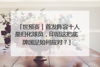 世预赛｜首发阵容十人是归化球员，印尼这把底牌国足如何应对？