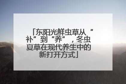 东阳光鲜虫草从“补”到“养”，冬虫夏草在现代养生中的新打开方式