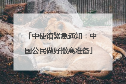 中使馆紧急通知：中国公民做好撤离准备