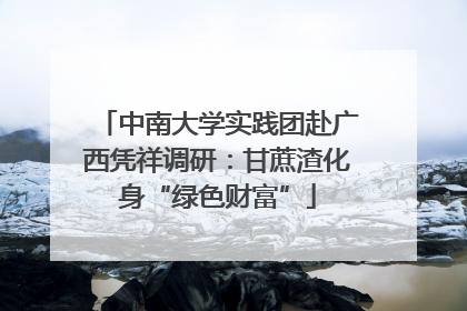 中南大学实践团赴广西凭祥调研：甘蔗渣化身“绿色财富”