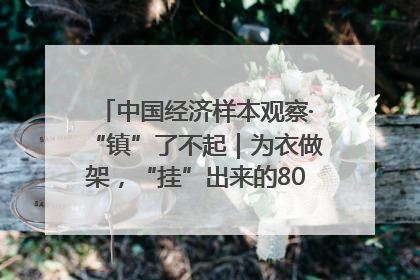 中国经济样本观察·“镇”了不起｜为衣做架，“挂”出来的80亿元“衣架产业”