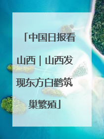 中国日报看山西｜山西发现东方白鹳筑巢繁殖