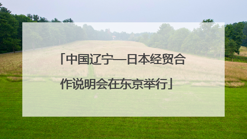 中国辽宁—日本经贸合作说明会在东京举行