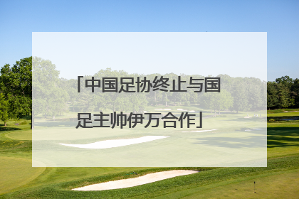 中国足协终止与国足主帅伊万合作
