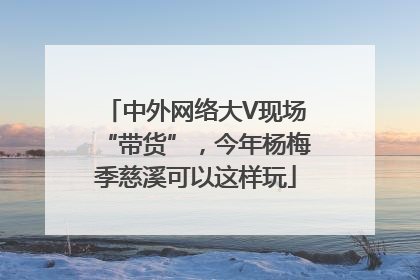 中外网络大V现场“带货”，今年杨梅季慈溪可以这样玩