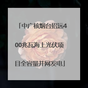 中广核烟台招远400兆瓦海上光伏项目全容量并网发电