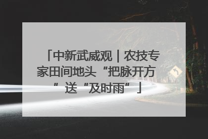 中新武威观｜农技专家田间地头“把脉开方”送“及时雨”