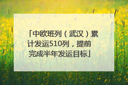 中欧班列（武汉）累计发运510列，提前完成半年发运目标