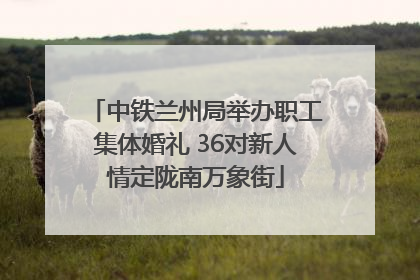 中铁兰州局举办职工集体婚礼 36对新人情定陇南万象街