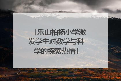 乐山柏杨小学激发学生对数学与科学的探索热情