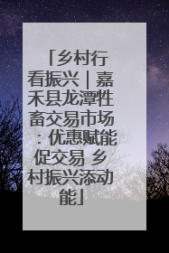 乡村行 看振兴｜嘉禾县龙潭牲畜交易市场：优惠赋能促交易 乡村振兴添动能