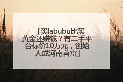 买labubu比买黄金还赚钱？有二手平台标价10万元，创始人成河南首富