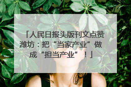 人民日报头版刊文点赞潍坊：把“当家产业”做成“担当产业”！