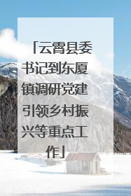 云霄县委书记到东厦镇调研党建引领乡村振兴等重点工作
