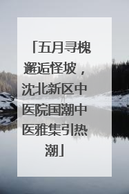五月寻槐邂逅怪坡，沈北新区中医院国潮中医雅集引热潮