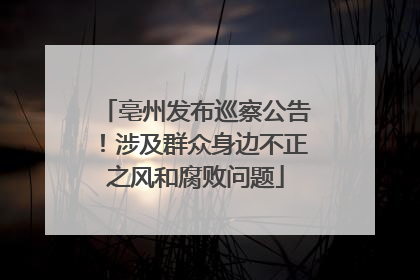 亳州发布巡察公告！涉及群众身边不正之风和腐败问题