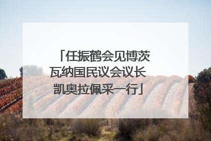 任振鹤会见博茨瓦纳国民议会议长凯奥拉佩采一行