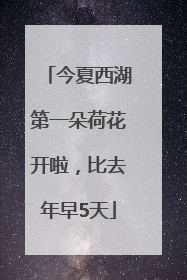 今夏西湖第一朵荷花开啦，比去年早5天