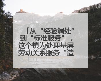从“经验调处”到“标准服务”，这个镇为处理基层劳动关系服务“造标尺”