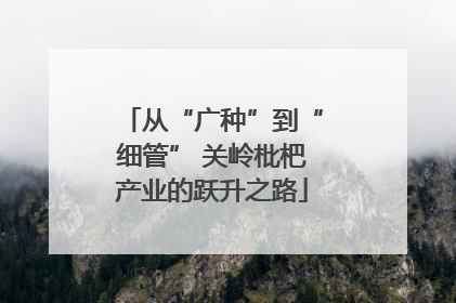 从“广种”到“细管” 关岭枇杷产业的跃升之路