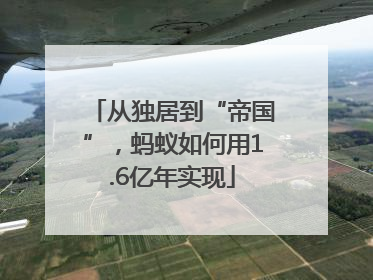 从独居到“帝国”，蚂蚁如何用1.6亿年实现