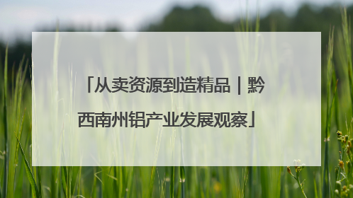 从卖资源到造精品｜黔西南州铝产业发展观察