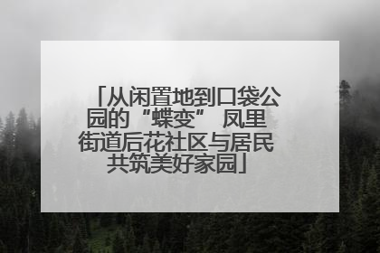 从闲置地到口袋公园的“蝶变” 凤里街道后花社区与居民共筑美好家园
