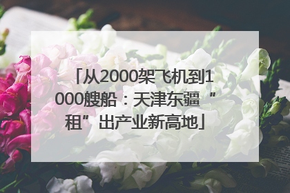 从2000架飞机到1000艘船：天津东疆“租”出产业新高地