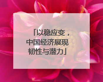 以稳应变，中国经济展现韧性与潜力