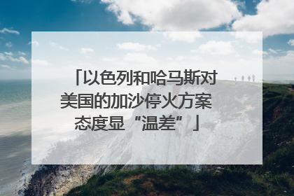 以色列和哈马斯对美国的加沙停火方案态度显“温差”