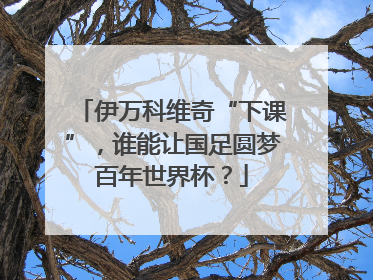 伊万科维奇“下课”，谁能让国足圆梦百年世界杯？