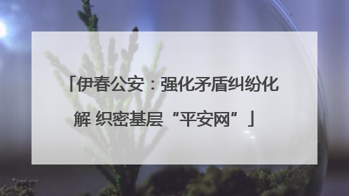 伊春公安：强化矛盾纠纷化解 织密基层“平安网”