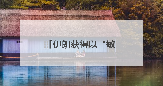 伊朗获得以“敏感文件” 消息人士称行动由被招募以定居者完成