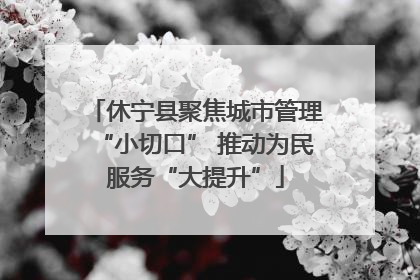 休宁县聚焦城市管理“小切口” 推动为民服务“大提升”