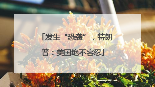 发生“恐袭”，特朗普：美国绝不容忍
