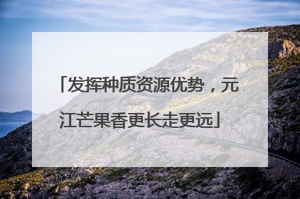 发挥种质资源优势，元江芒果香更长走更远