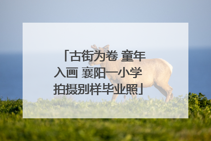 古街为卷 童年入画 襄阳一小学拍摄别样毕业照