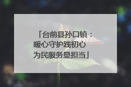 台前县孙口镇：暖心守护践初心 为民服务显担当
