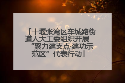 十堰张湾区车城路街道人大工委组织开展 “聚力建支点·建功示范区”代表行动