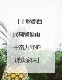 十堰郧西民辅警暴雨中奋力守护群众家园