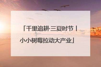 千里追耕·三夏时节丨小小树莓拉动大产业