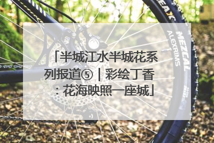 半城江水半城花系列报道⑤｜彩绘丁香：花海映照一座城