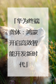 华为终端龚体：鸿蒙开启高效智能开发新时代