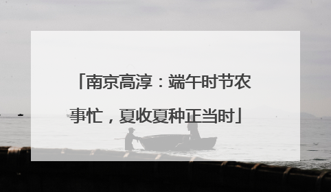 南京高淳：端午时节农事忙，夏收夏种正当时
