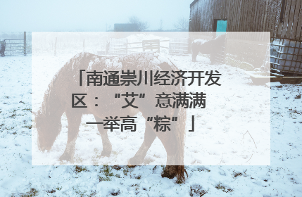 南通崇川经济开发区：“艾”意满满 一举高“粽”