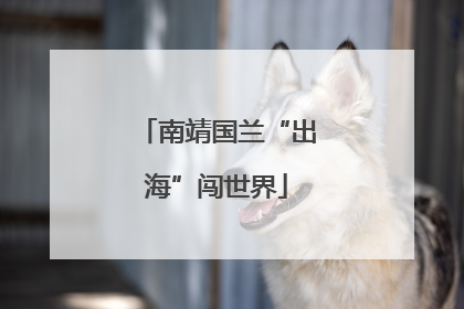 南靖国兰“出海”闯世界