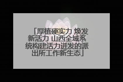 厚植硬实力 焕发新活力 山西全域系统构建活力迸发的派出所工作新生态